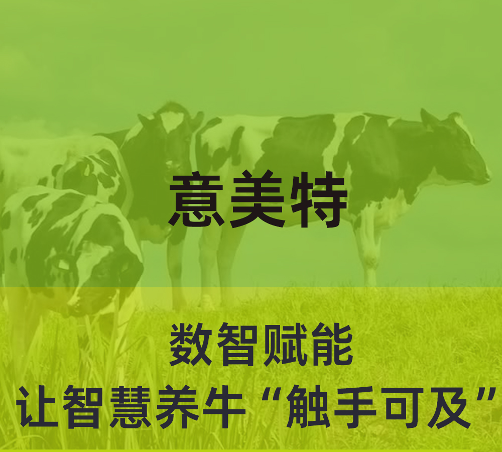 數智賦能，意美特讓智慧養(yǎng)牛“觸手可及”